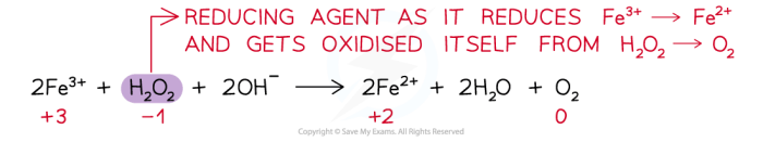 Reducing oxidizing oxidation permanganate examples ferrous