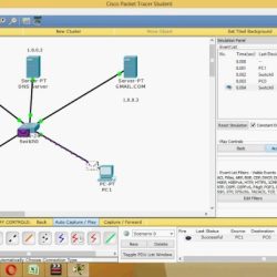 Dns servers addresses input desired