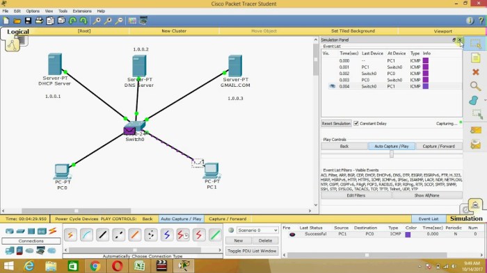 Dns servers addresses input desired