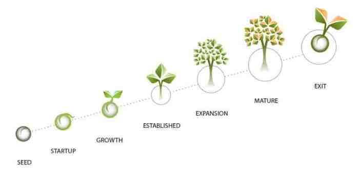 Business life cycle 7 stages gmetrix