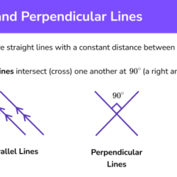 Kuta parallel and perpendicular lines