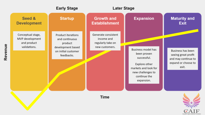 Business life cycle 7 stages gmetrix