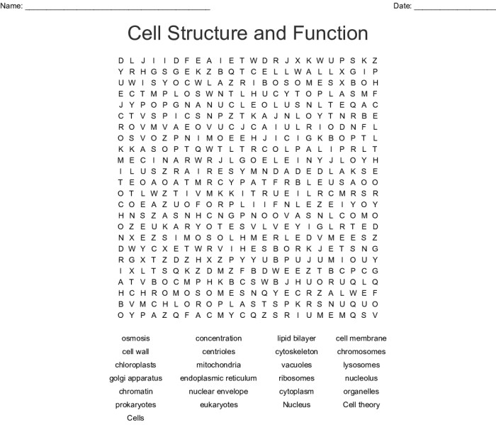 Cell and cell organelles word search puzzle