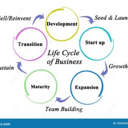 Stages sukses entrepreneur