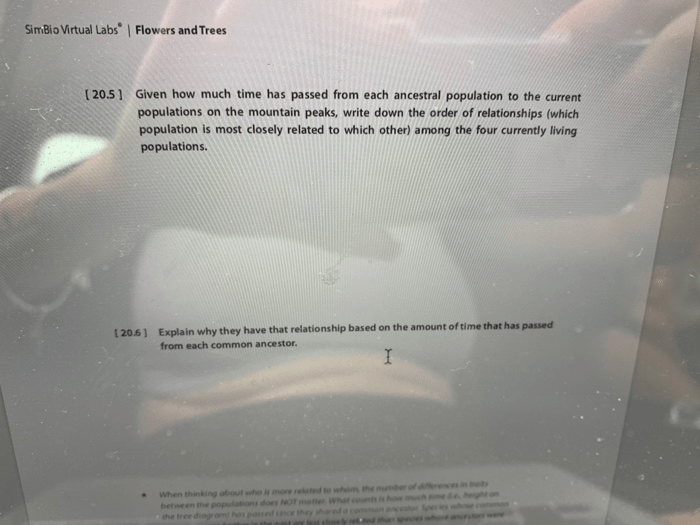 Simbio virtual labs diffusion answers