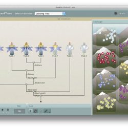 Simbio virtual labs diffusion answers