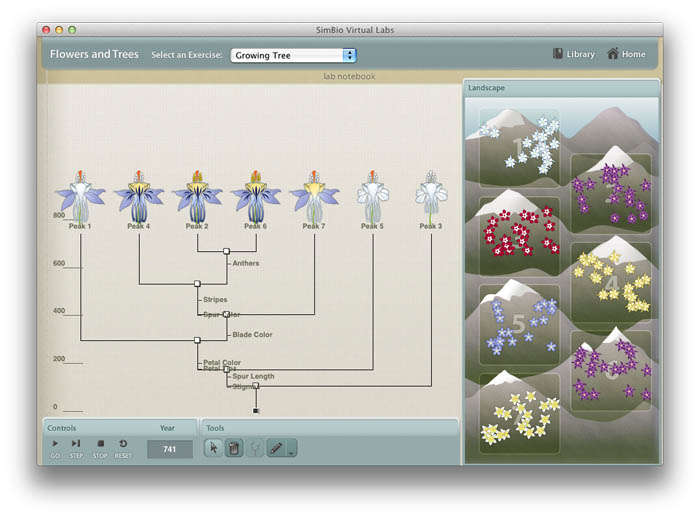 Simbio virtual labs diffusion answers