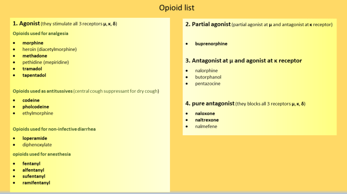 Your 27 year old roommate uses opioids