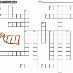 Dna structure and function crossword puzzle answer key